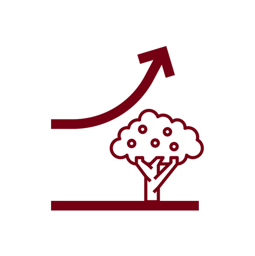 Baum Icon